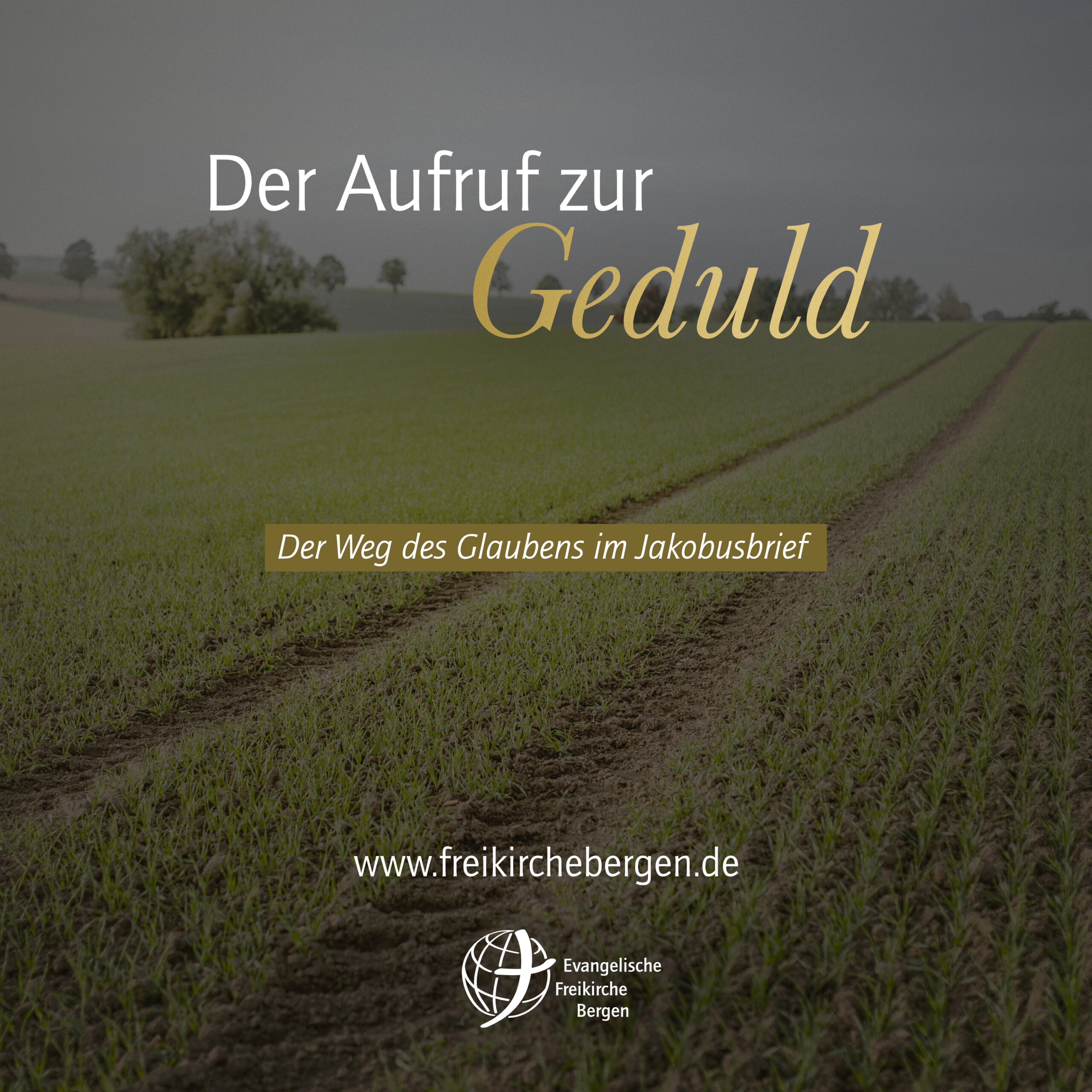 Der Aufruf zur Geduld – Jakobusbrief | Maiko Müller