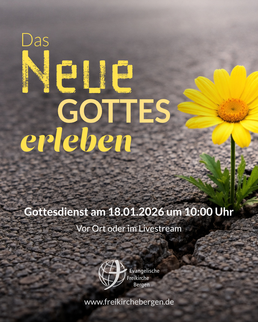 NEUES erleben, sich von Gott überraschen lassen …