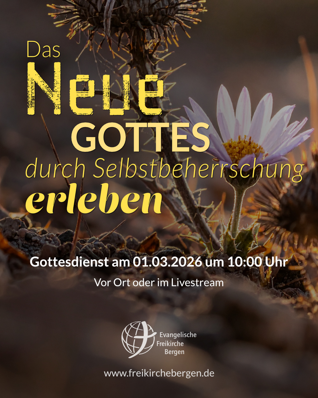 GLAUBE + SELBSTBEHERRSCHUNG = ZIELBEWUSST LEBEN