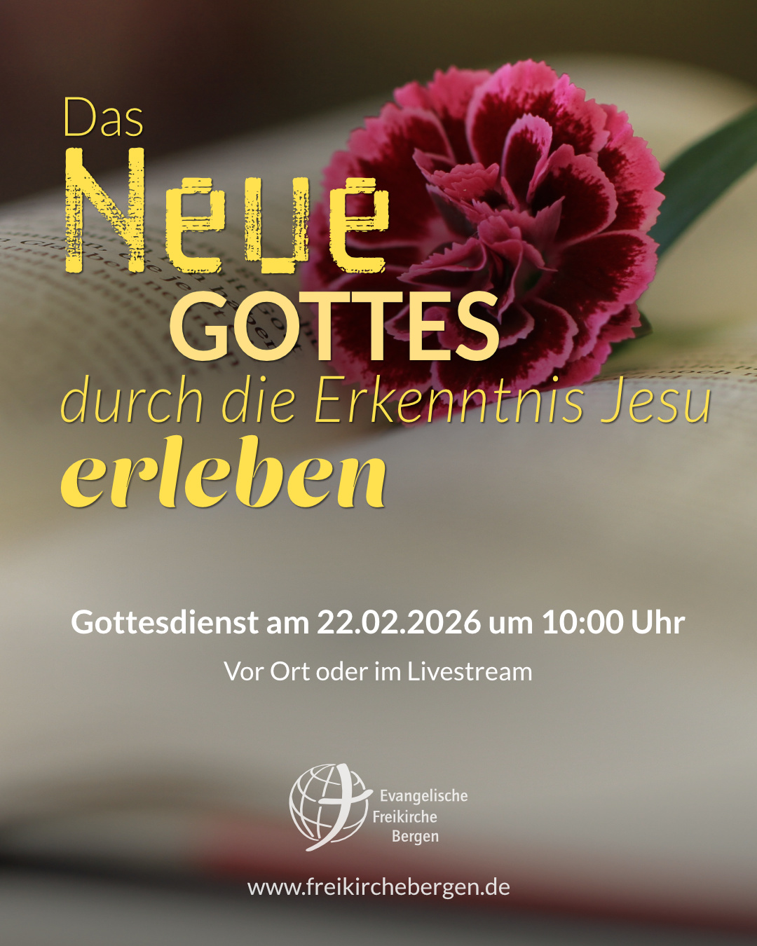 Das Neue Gottes durch die Erkenntnis Jesu erleben